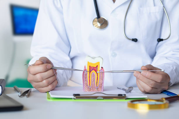Best Broken or Cracked Tooth Emergency Dentist in Timberlane, IL